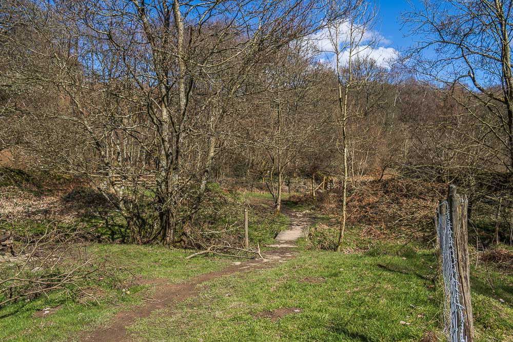 Mill Wood Mill Wood